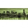 Panoramatická fototapeta - PA0061 - Zelený New York 250cm x 104cm - Vliesová fototapeta