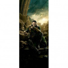 Dverová fototapeta - DV0722 - Loki 91cm x 211cm - Samolepiaca fólia