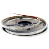 EPISTAR 5m LED pásik 60LED/m vodeodolný SMD3528 studená biela, IP65 12V