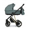 Roan Ivi 2.0 kombinovaný kočík Autosedačka (vajíčko): Bez autosedačky, Farba: Pine green/gold