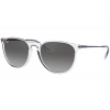 Ray-Ban RB4171 651611