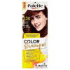 Schwarzkopf Palette Color Shampoo, 236 Gaštanovohnedý farba na vlasy 1 ks, 4-68