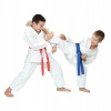BUSHIDO Dětské kimono DBX ARK-3102