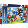Trefl Zoznámte sa so Sonic Sonic 100 dielov