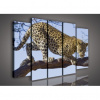Obraz na plátne viacdielny - OB2755 - Leopard 150cm x 100cm - S12