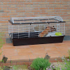Ferplast Casita 120 Klietka pre zajacov a morčatá 119 x 58 x 60 cm