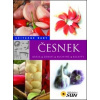 Česnek