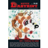 Labyrint Revue Diy/Udělej to sám