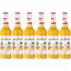 6 x Barmanský sirup na nápoje MONIN Mango 700 ml