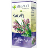 MEGAFYT Bylinková lekáreň ŠALVIA bylinný čaj 20x1,5 g (30 g)