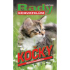 Kočky rady chovatelům - Marie Perčynská Říhová