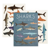 Dočasné tetovanie 2 ks Sharks - Rex London