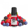 Salt E-Vapor 10ml Fruits Rouges 20mg