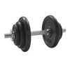 PLATINUM FITNESS Činkový nakladací set - jednoručky 20kg liatinovy