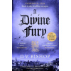 A Divine Fury - D. V. Bishop