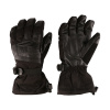 Alpine Pro Ledet PTX