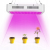 Osvetlenie pre rastliny - 3000W rastú svetlo LED rastúca lampa (Osvetlenie pre rastliny - 3000W rastú svetlo LED rastúca lampa)