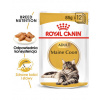 Royal Canin Maine Coon 12 x 85 g