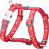 Postroj RD 20 mm x 45-66 cm - Swiss Cross
