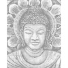 ZUTY Bodkovanie - ORANŽOVÝ BUDDHA Rámovanie: bez rámu a bez vypnutia plátna, Rozmer: 40x50 cm