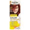 Schwarzkopf Palette Color Shampoo, 217 Mahagónový farba na vlasy 1 ks, 5-86