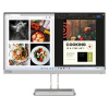 Lenovo L24i-40 23,8
