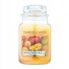 Yankee Candle Mango Peach Salsa 623 g