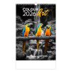 Colour Art 2026 - nástěnný kalendář