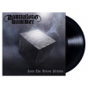 Damnation's Hammer - Into The Silent Nebula / Vinyl [LP]