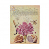 Paperblanks Pink Carnation Mira Botanica Softcover Flexis Ultra Lined Elastic Band 176 Pg 100 GSM