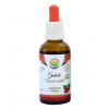 Salvia Paradise Guduchi Chebule srdčitá AF tinktúra bez alkoholu 50 ml