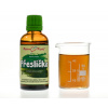Přeslička - bylinné kapky (tinktura) 50 ml - doplněk stravy