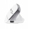 Trust Bayo II Ergonomic Wireless Mouse 25398