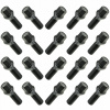 Skrutka Carbonado M14x1.50 kužeľová, kľúč 17 30 mm 20 ks