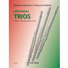 Flute spielen Trios - Parallel zu FLUTE SPIELEN Band A und B - tria pre priečne flauty