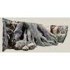 Back to Nature pozadie do akvária Amazonas 200 x 60 cm