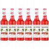 6x Barmanský sirup MONIN Rhubarb RABARBAR 700 ml