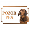 Alpský jazvečíkovitý durič (Daxel kopov) - Kovová tabuľka POZOR PES