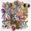 FIGÚRKY LPS LITTLEST PET SHOP JAZVEČÍK ŠPANIEL 10KS