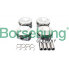 Piest Borsehung B13583