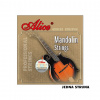 Alice AM05-2 Mandolin String A