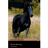 Level 2: Black Beauty Book and MP3 Pack