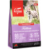 Orijen cat kitten 1,8 kg