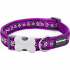 Obojok RD 25 mm x 41-63 cm - Daisy Chain Purple