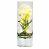 Lampáš, svietník - Rose LED dióda IRIS VILLA ITALIA (Lampáš, svietník - Rose LED dióda IRIS VILLA ITALIA)