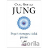 Psychoterapeutická praxe 2. díl