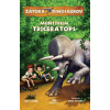 Monštrum Triceratops | Stone Rex