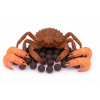 Boilies - MONSTER CRAB - Ø 20 mm 1 kg