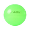 Ledragomma PEZZI GymBall 65 cm