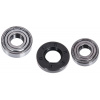 LOŽISKÁ PRÁČKY ELECTROLUX EWF / EWS 6205-6206 SKF (LOŽISKÁ PRÁČKY ELECTROLUX EWF / EWS 6205-6206 SKF)
